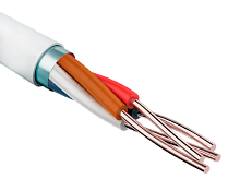 КПСВЭВнг(А)-LSLTx 2х2х0,5