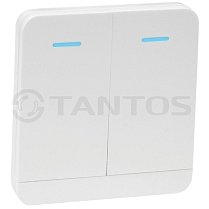 Tantos TSt-100HK