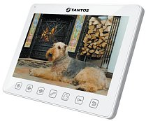 Tantos Sherlock (Белый)
